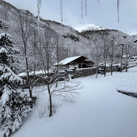 Biocinovici Vikendica Villa Kolasin Luaran gambar
